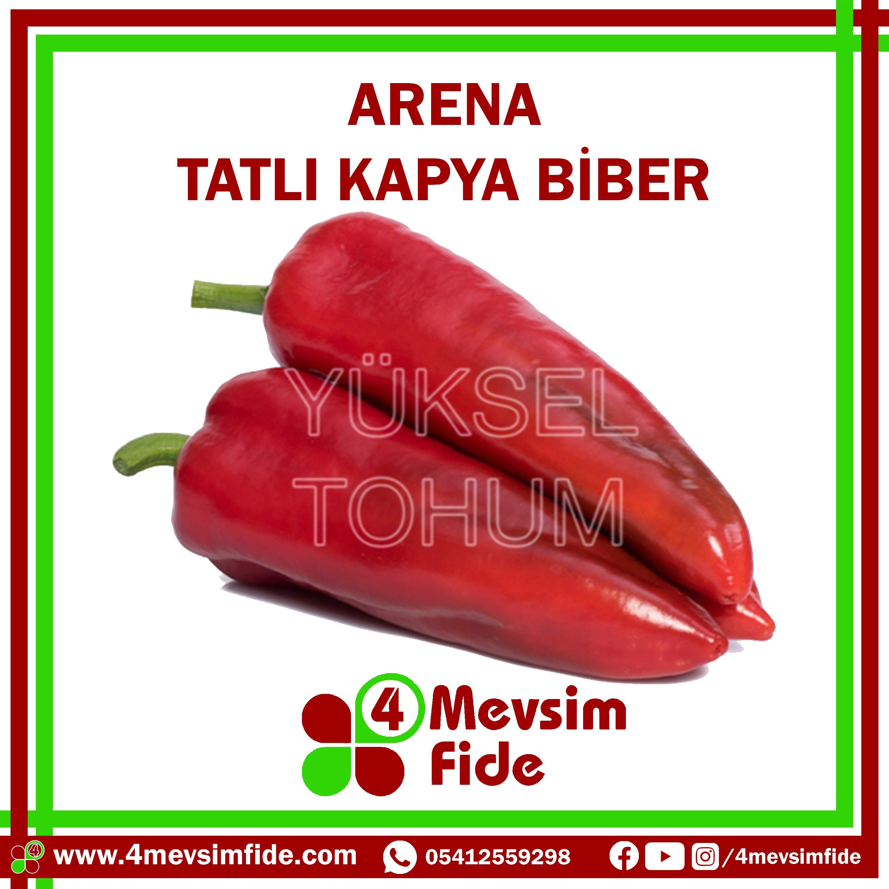 Arena F1 Tatlı Kapya Biber