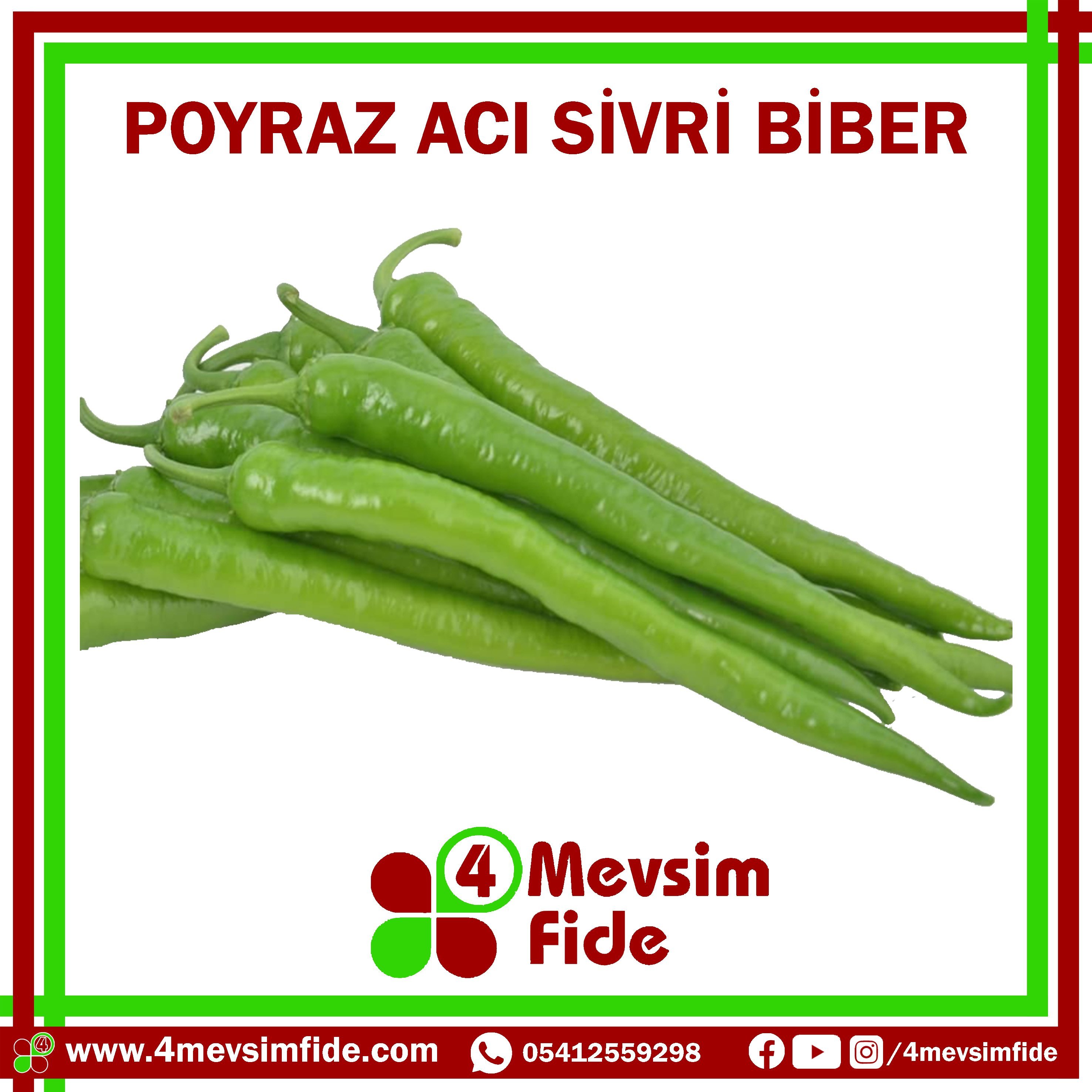 Poyraz F1 Acı Sivri Biber