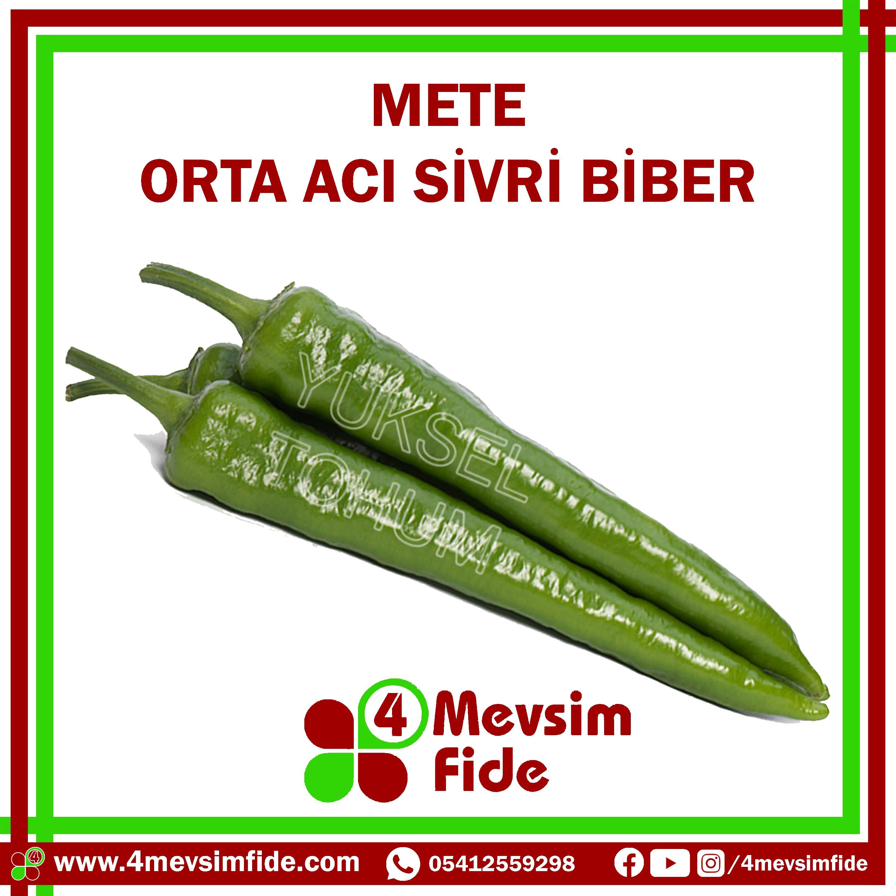 Mete F1 Orta Acı Sivri Biber Fidesi