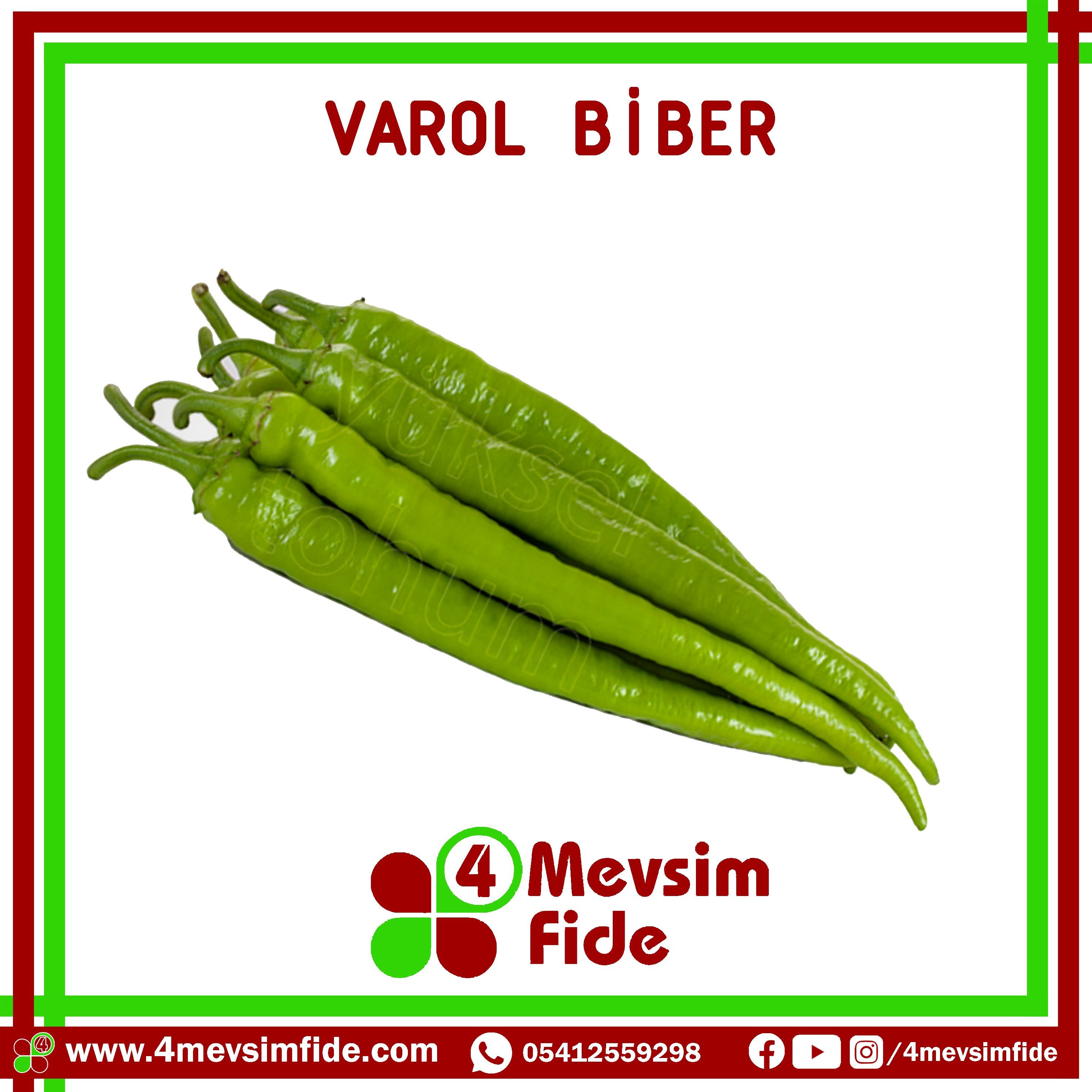 Varol F1 Sivri Biber