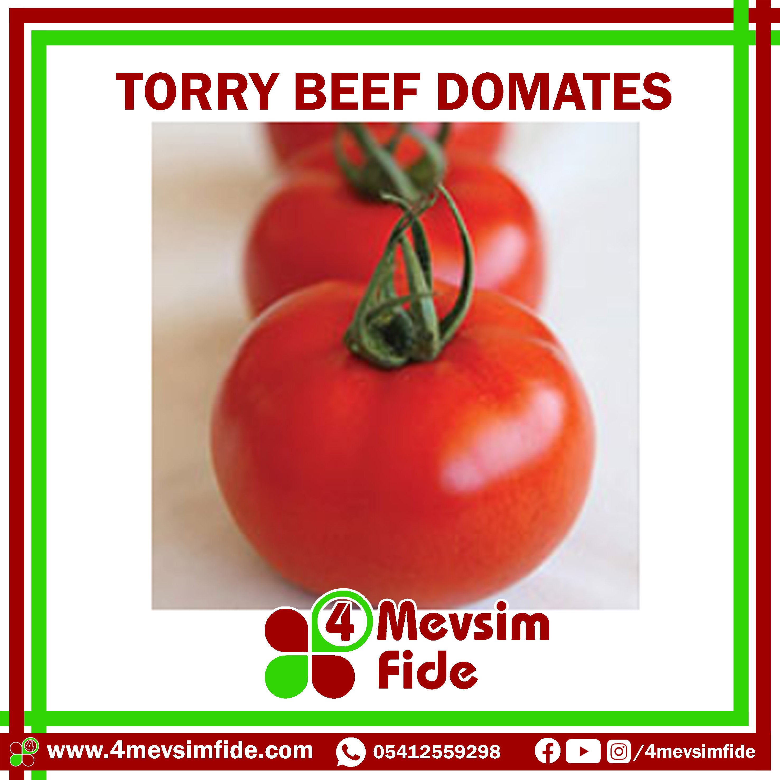 Torry F1 Beef Domates